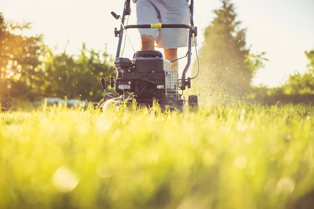 Lawn care worker mowing a residential lawn on a summer day